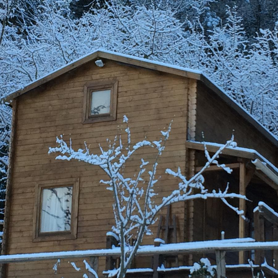 Gites Les Chalets Vezzani Spa Kültér fotó